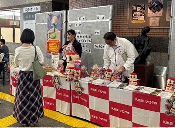 展示5